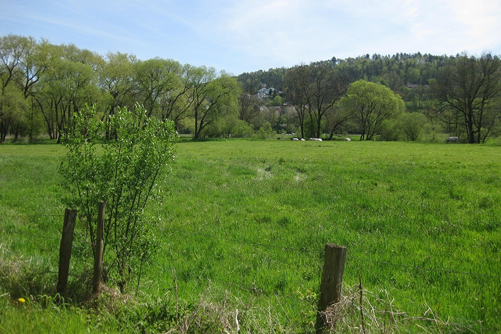 belgie barvaux landschap